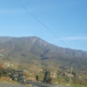 Meet your Posher, Donovan